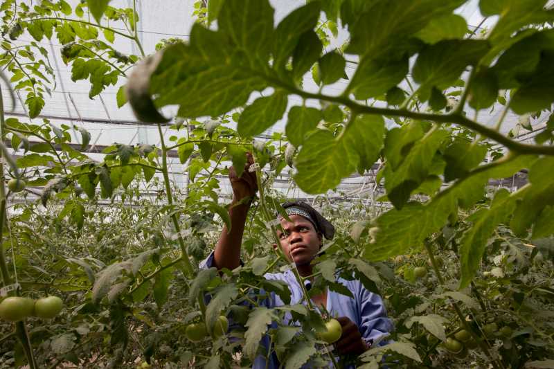 Mencapai Pertumbuhan